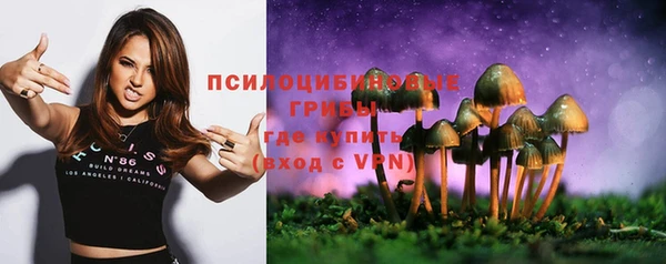 PSILOCYBIN Алзамай