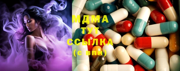 PSILOCYBIN Алзамай