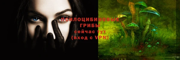 ECSTASY Алексин