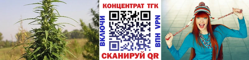 ТГК жижа  даркнет сайт  kraken ССЫЛКА  Берёзовский 