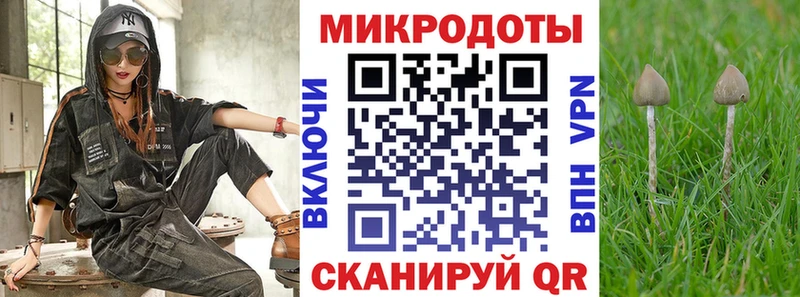 как найти   Берёзовский  Галлюциногенные грибы GOLDEN TEACHER 